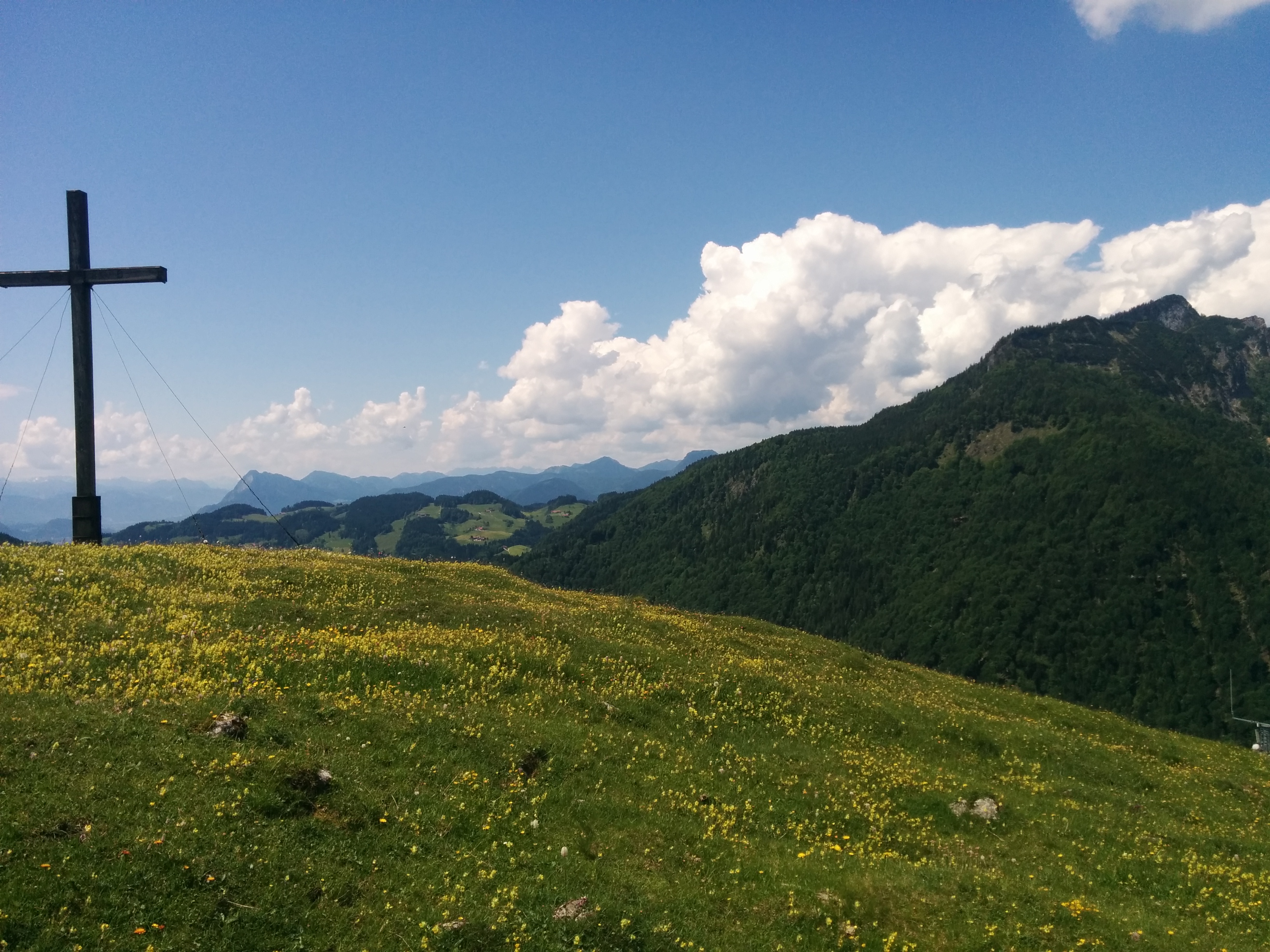 am_schacher.jpg