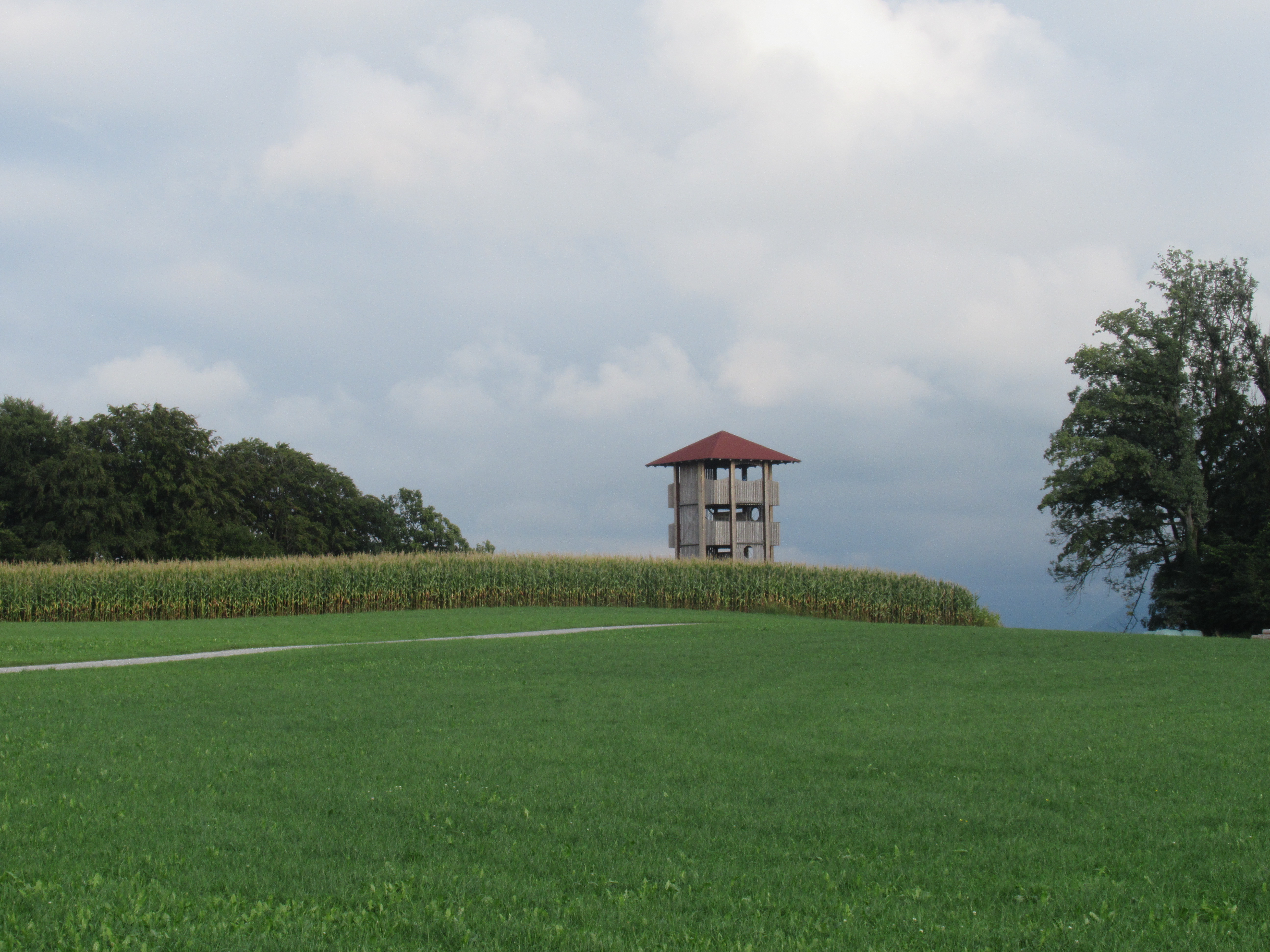 aussichtsturm.jpg