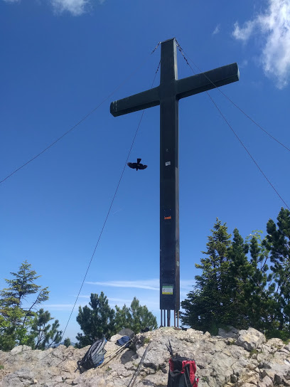 duerrnbachhorngipfelkreuz_mit_dohle.jpg