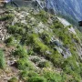 gp-13-25_bartgeier_generl_erstflug_12.06.2025.webp