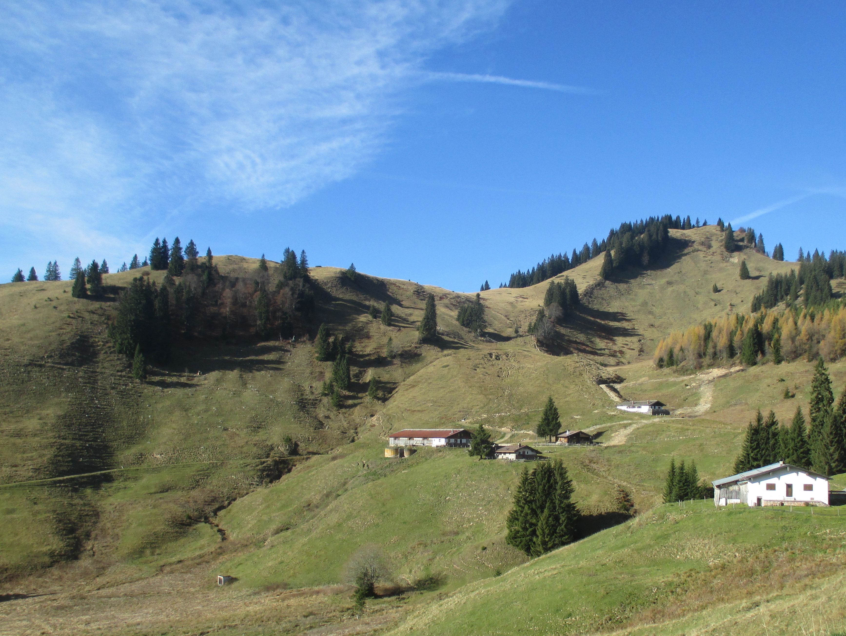 karalm_mit_karkopf.jpg