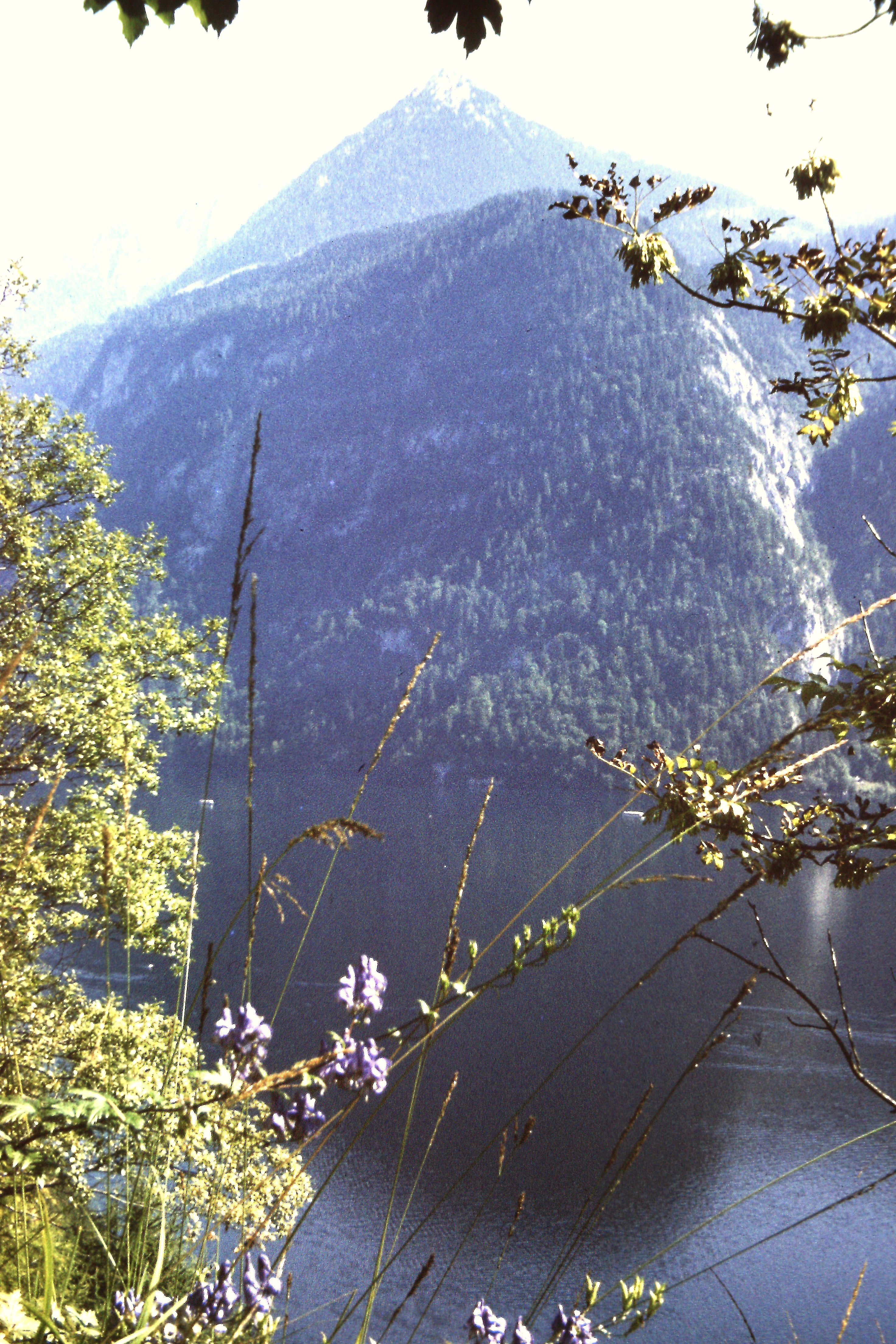 koenigssee_blick_von_ostufer_zu_westufer.jpg