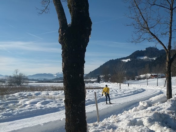 loipe_walchsee.jpg