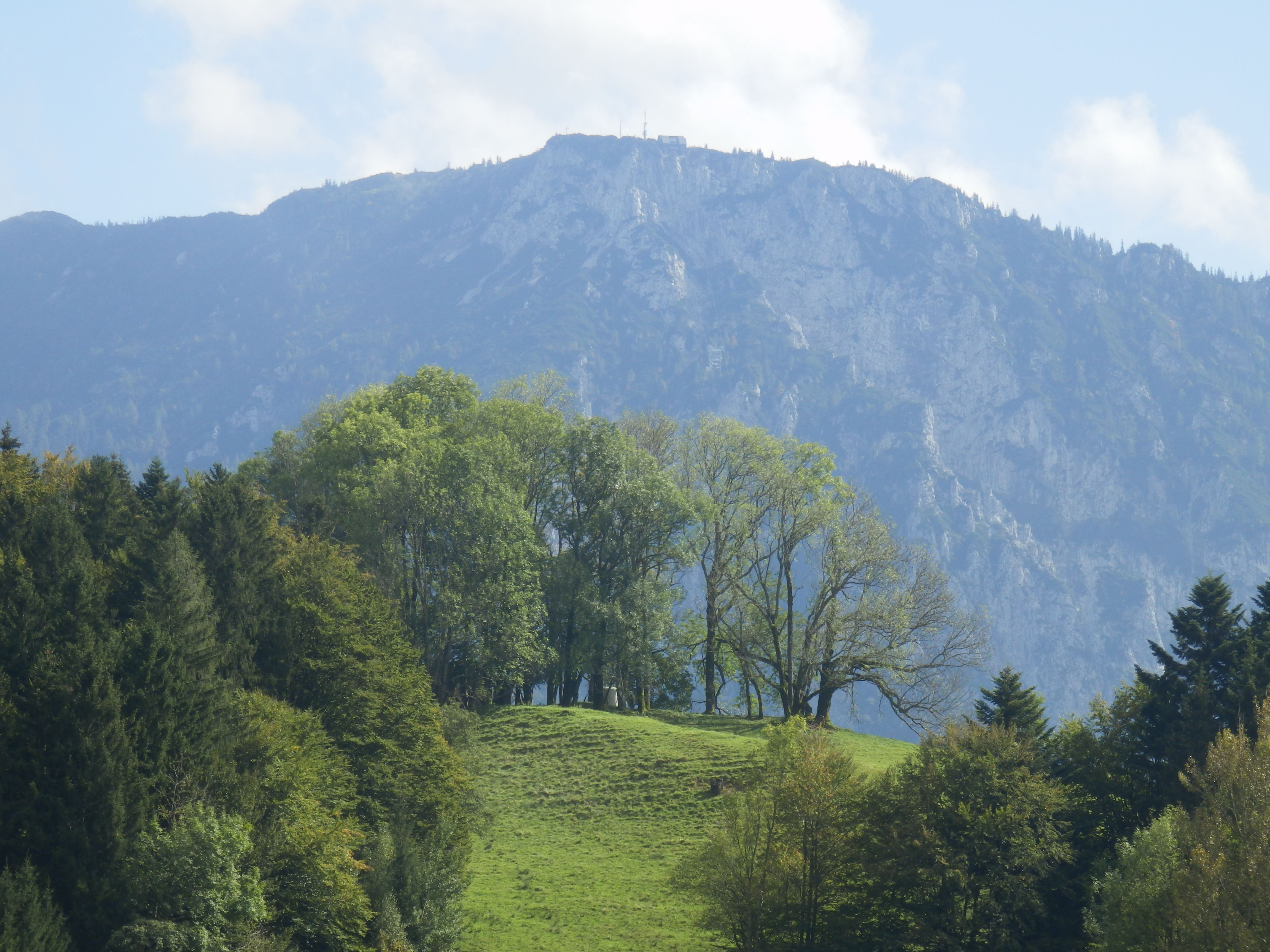 rauschberg7.jpg