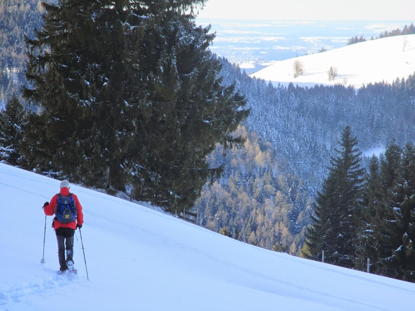 schneeschuhstaffn.jpg