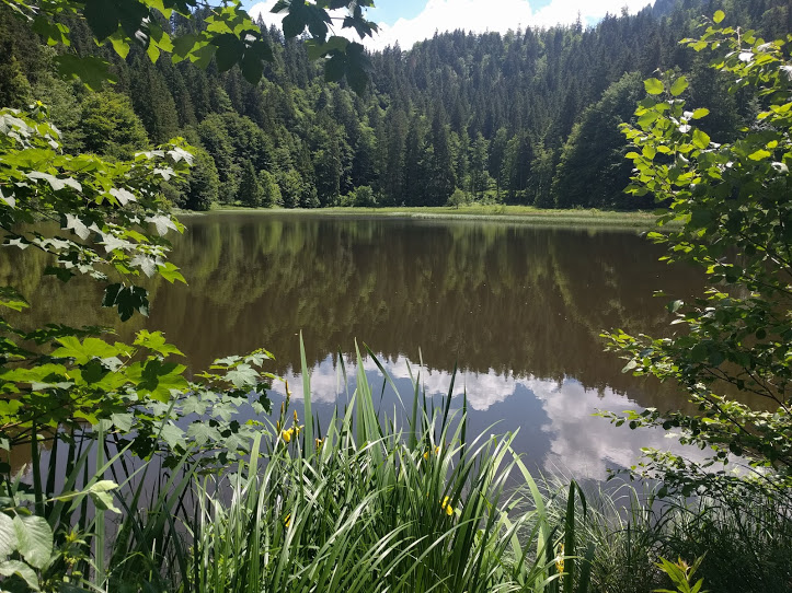 suttensee.jpg