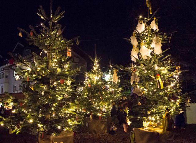 winterweihnachtswald.jpg