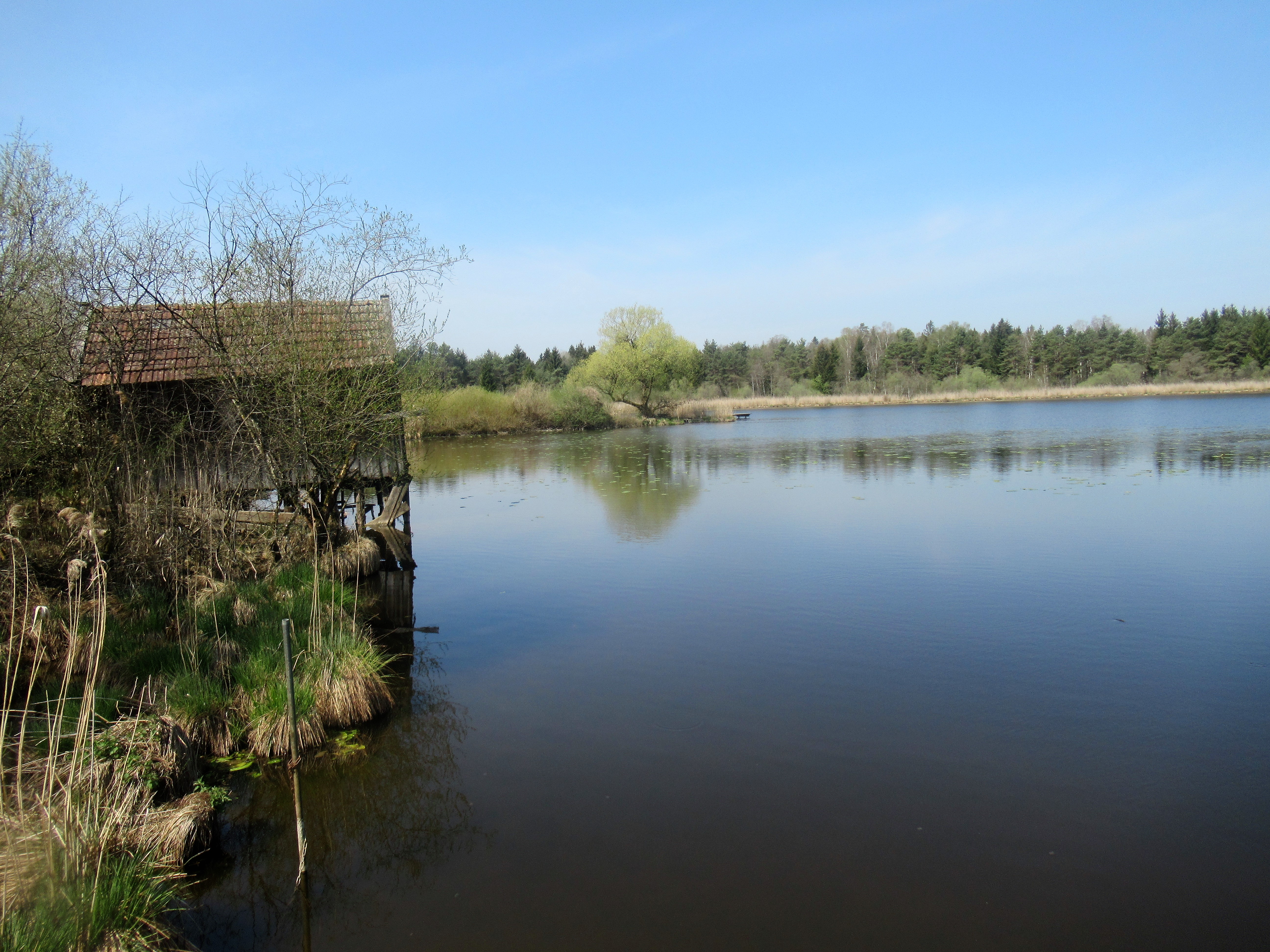 der Ameranger See