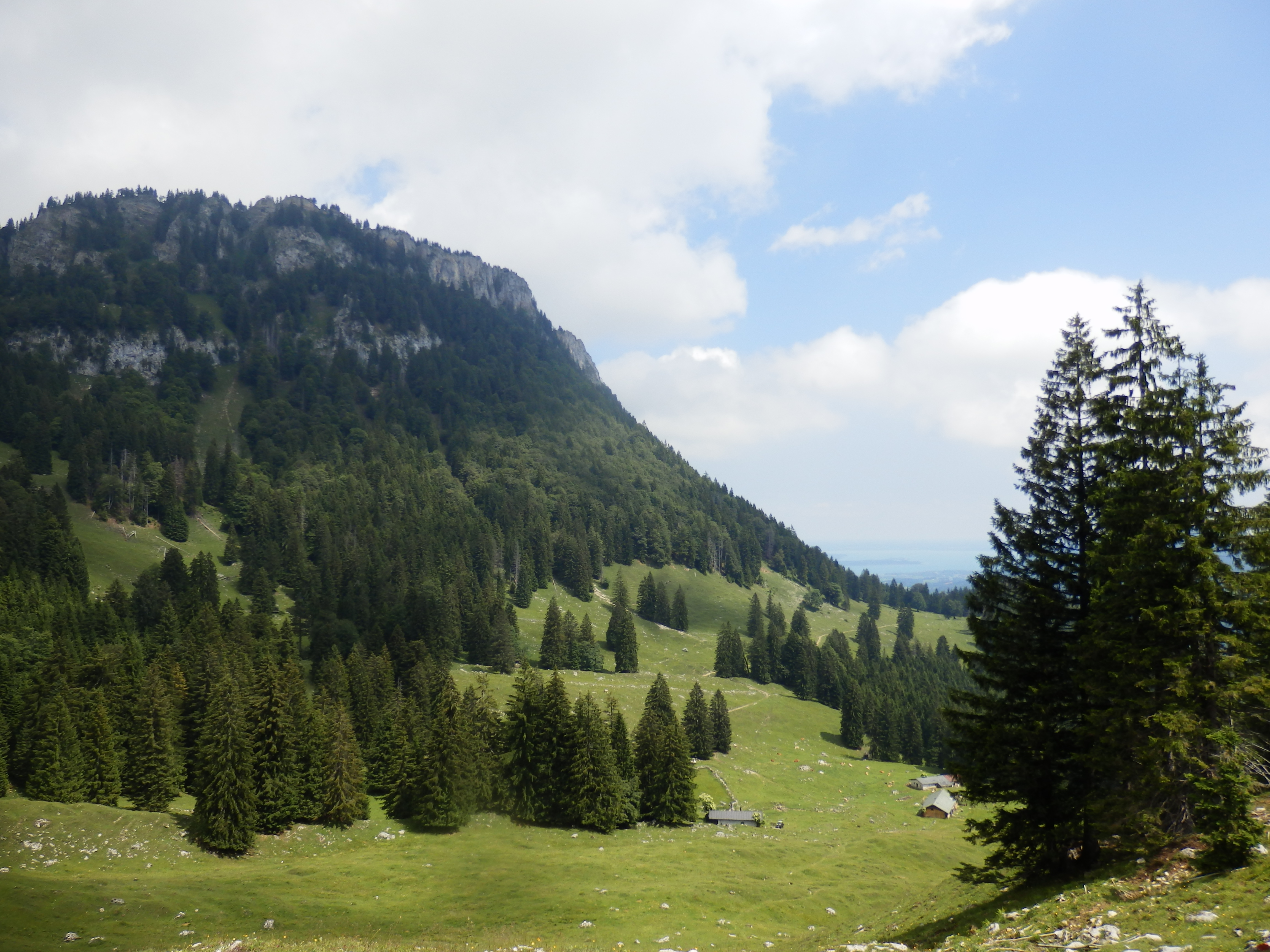 die Baumgartenalmen 