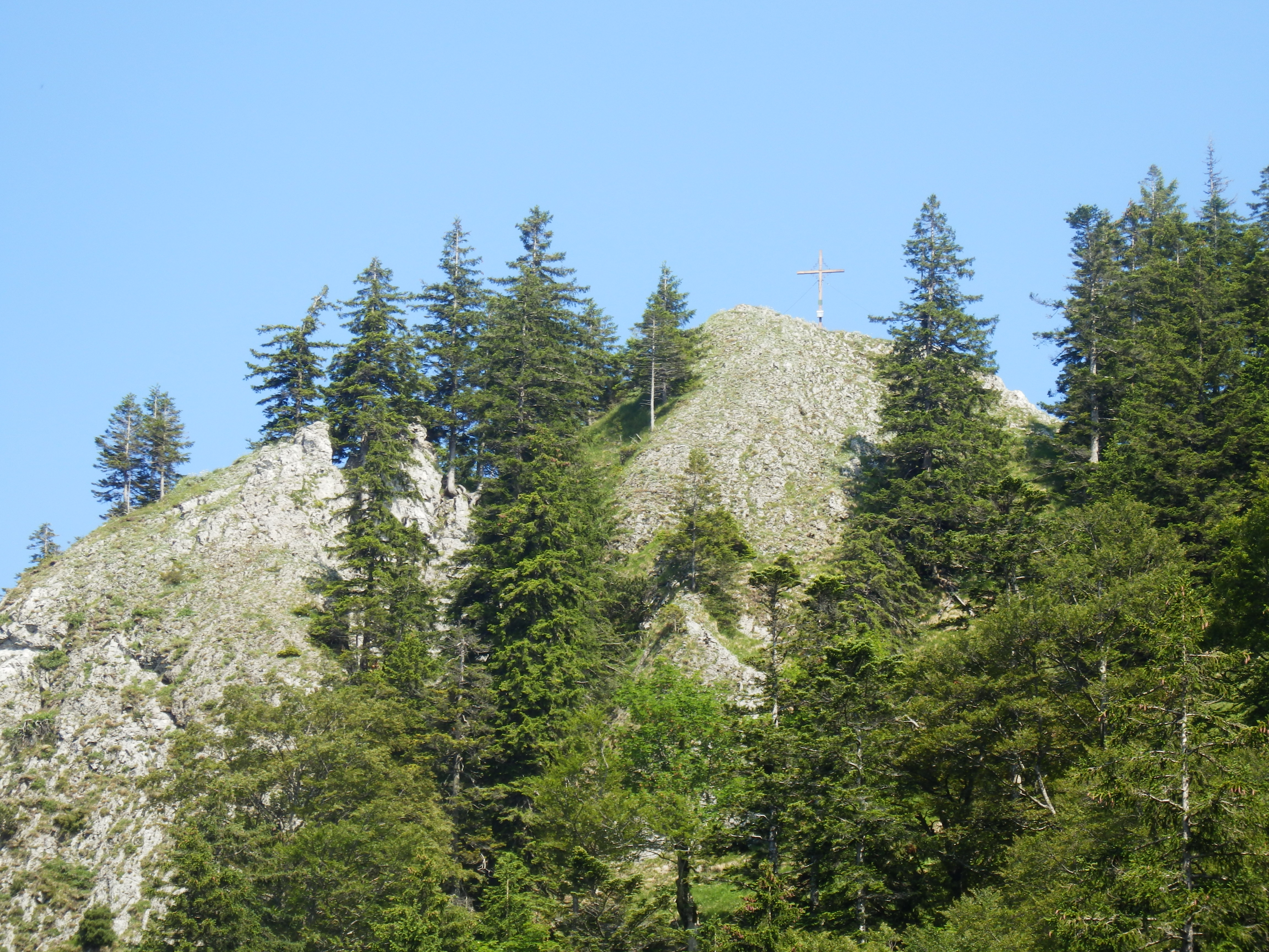 das Zellerwandlgipfelkreuz vom Laubenstein aus