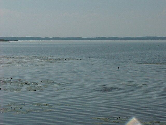 Hirschauer Bucht