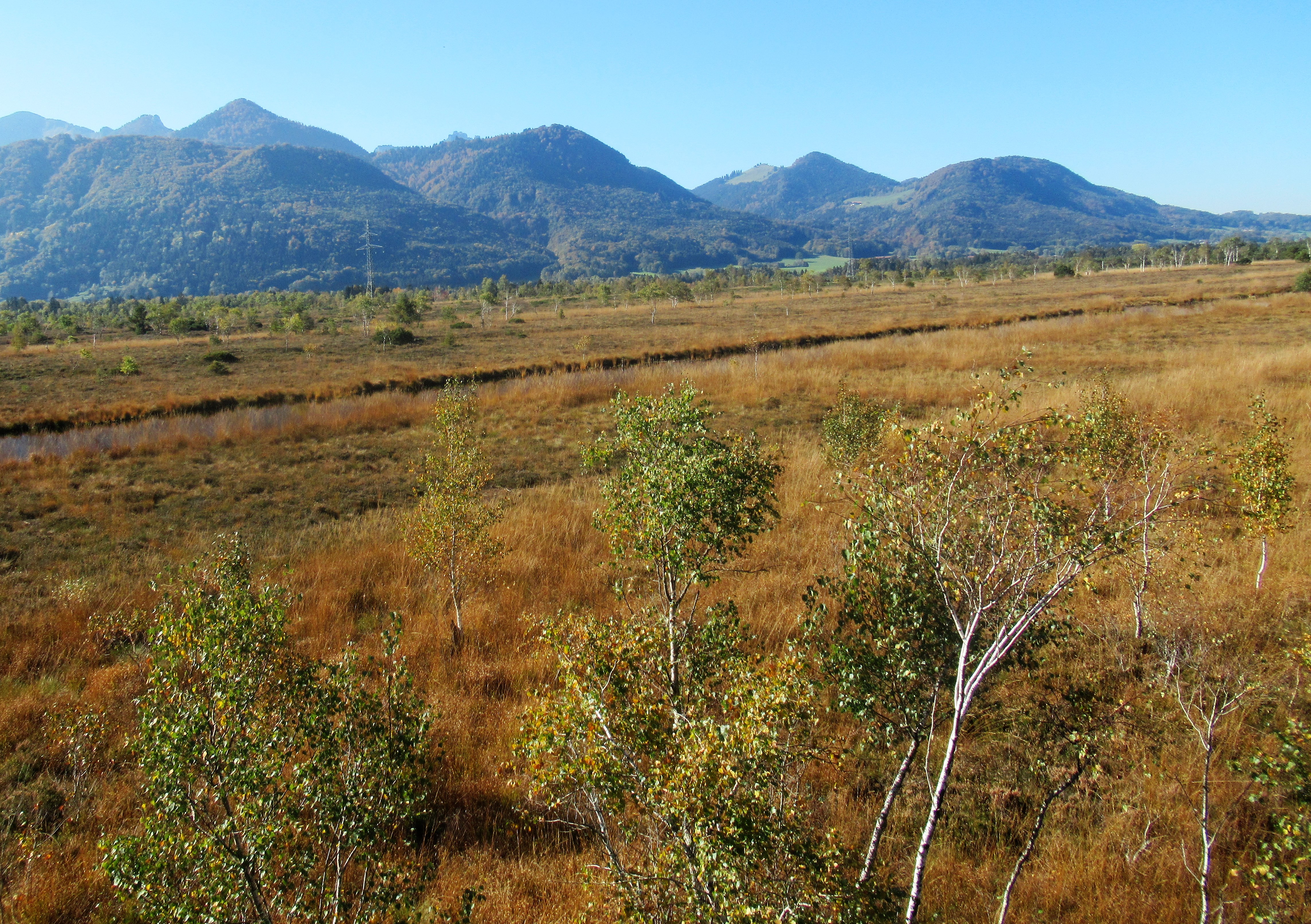 Ausblick vom Kendlmühlfilz-Aussichtsturm