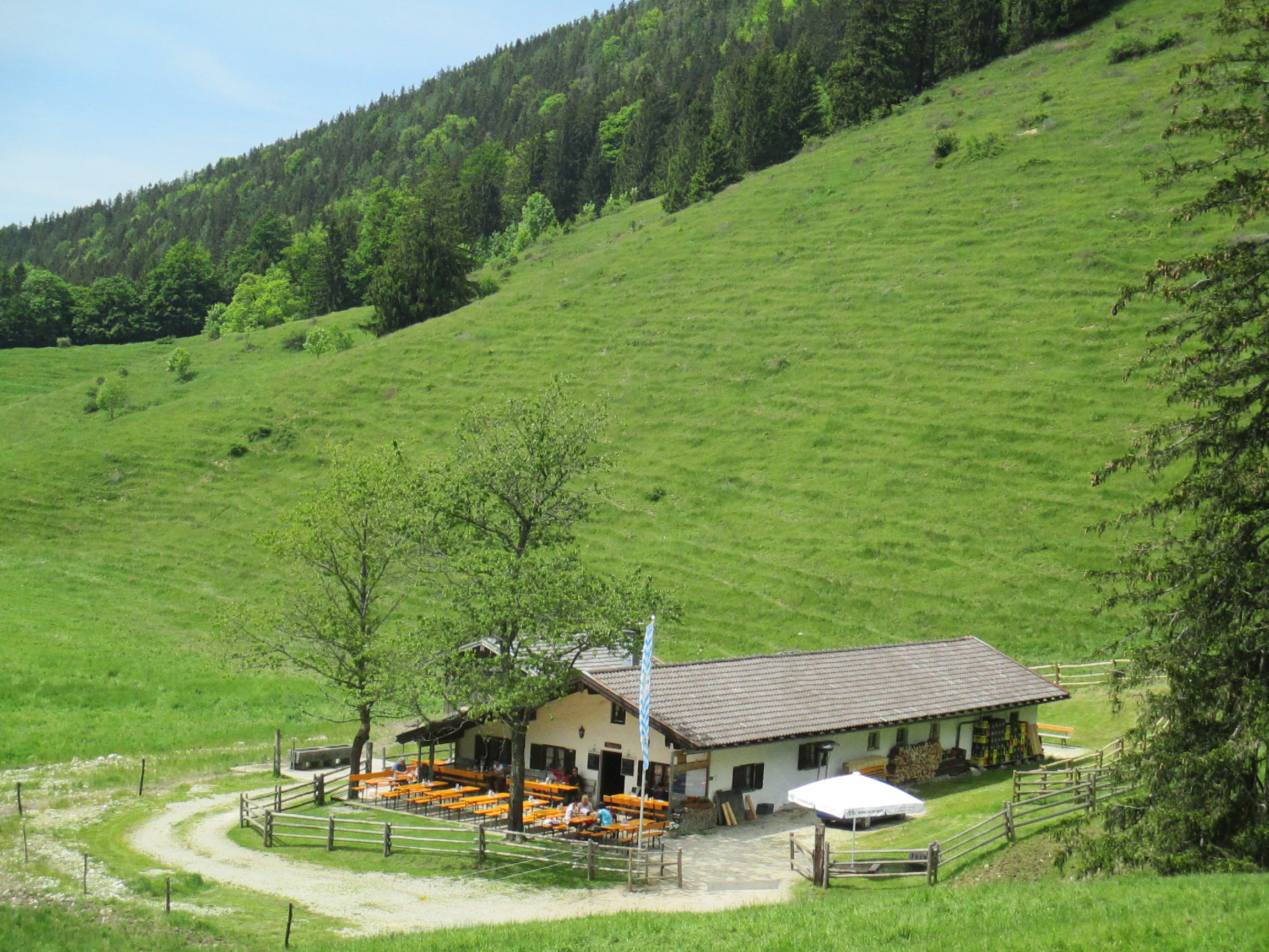 die Maisalm