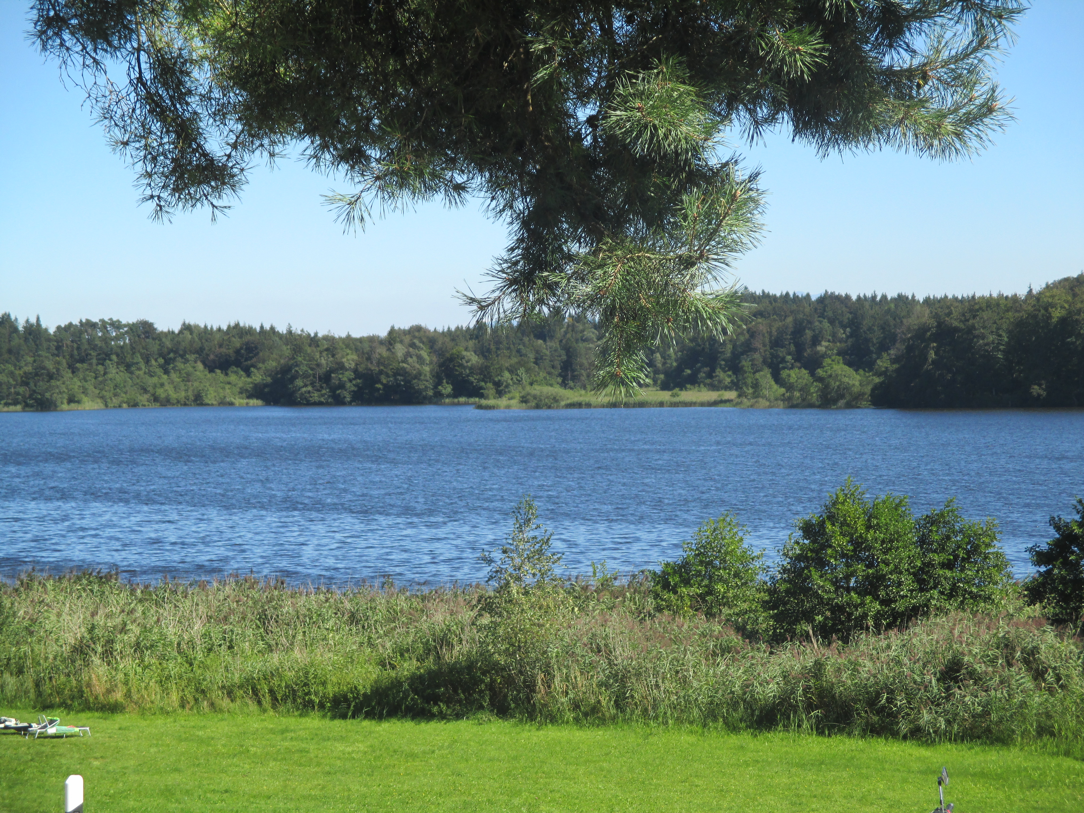 der Pelhamersee