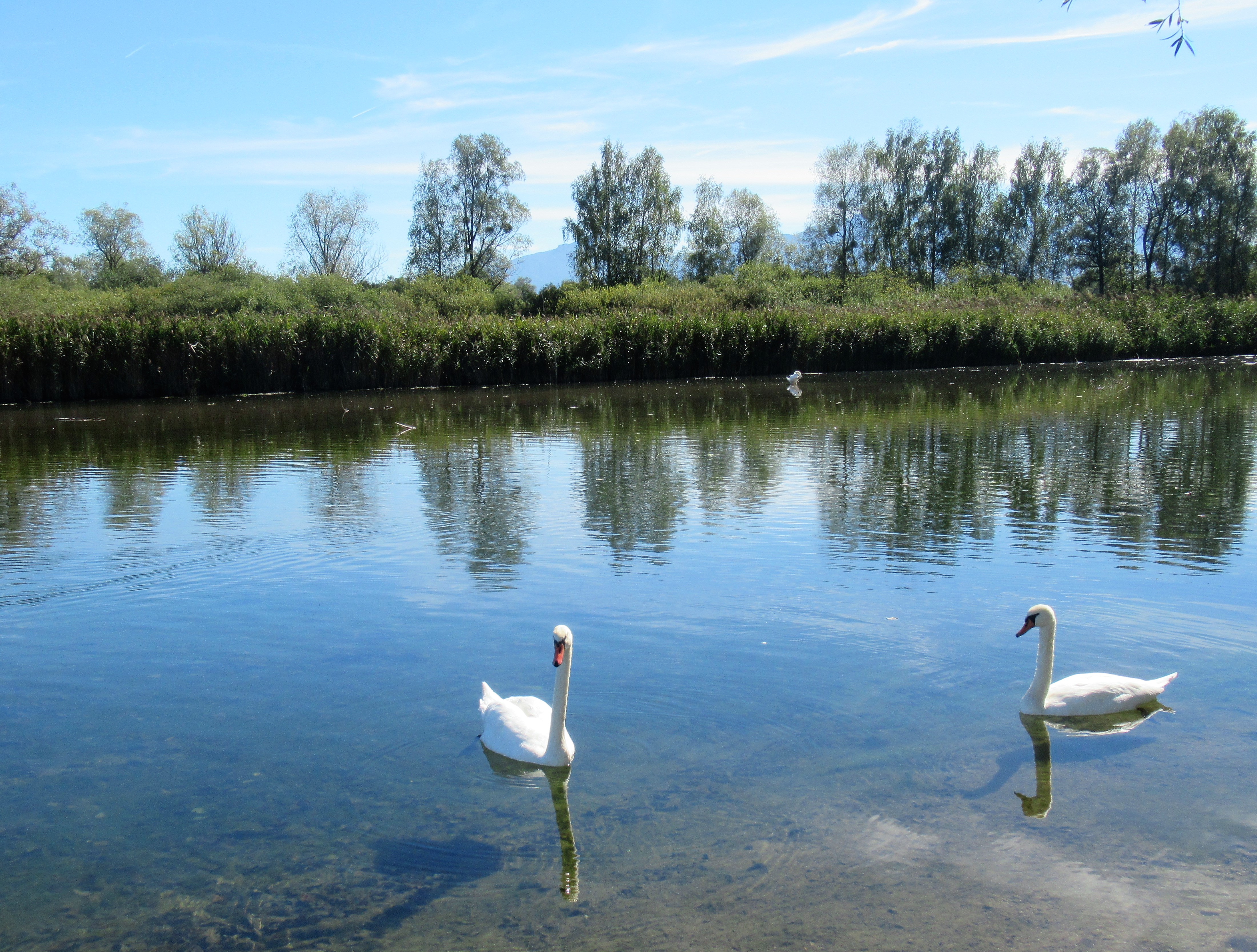 vor der Vogelbeobachtungsstelle an der Prienmündung