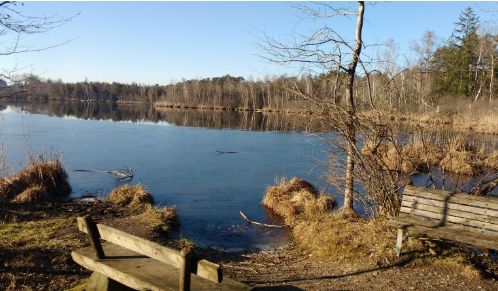 der Siferlingersee