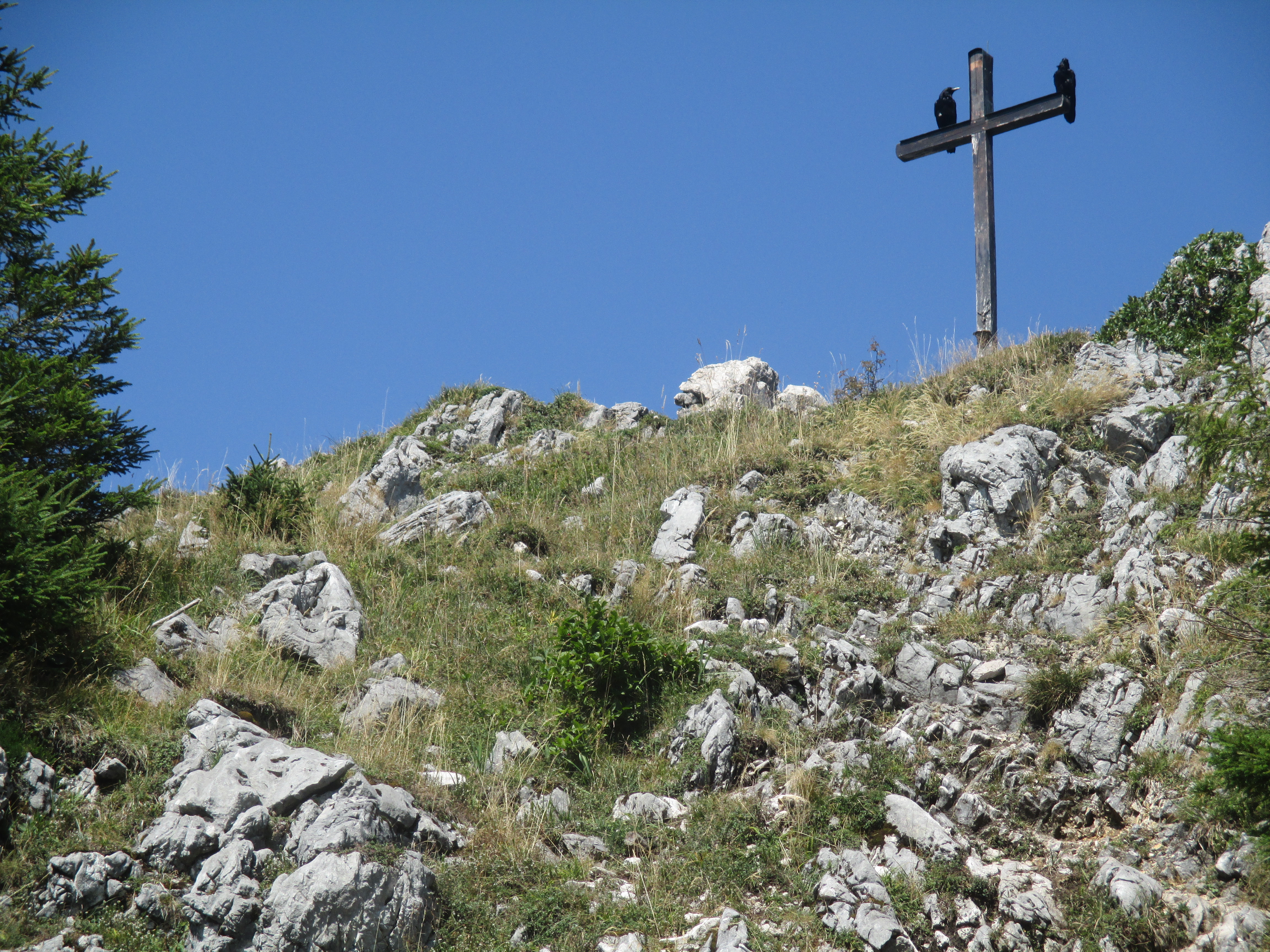 Raben auf dem Sonnenwendwand-Gipfelkreuz