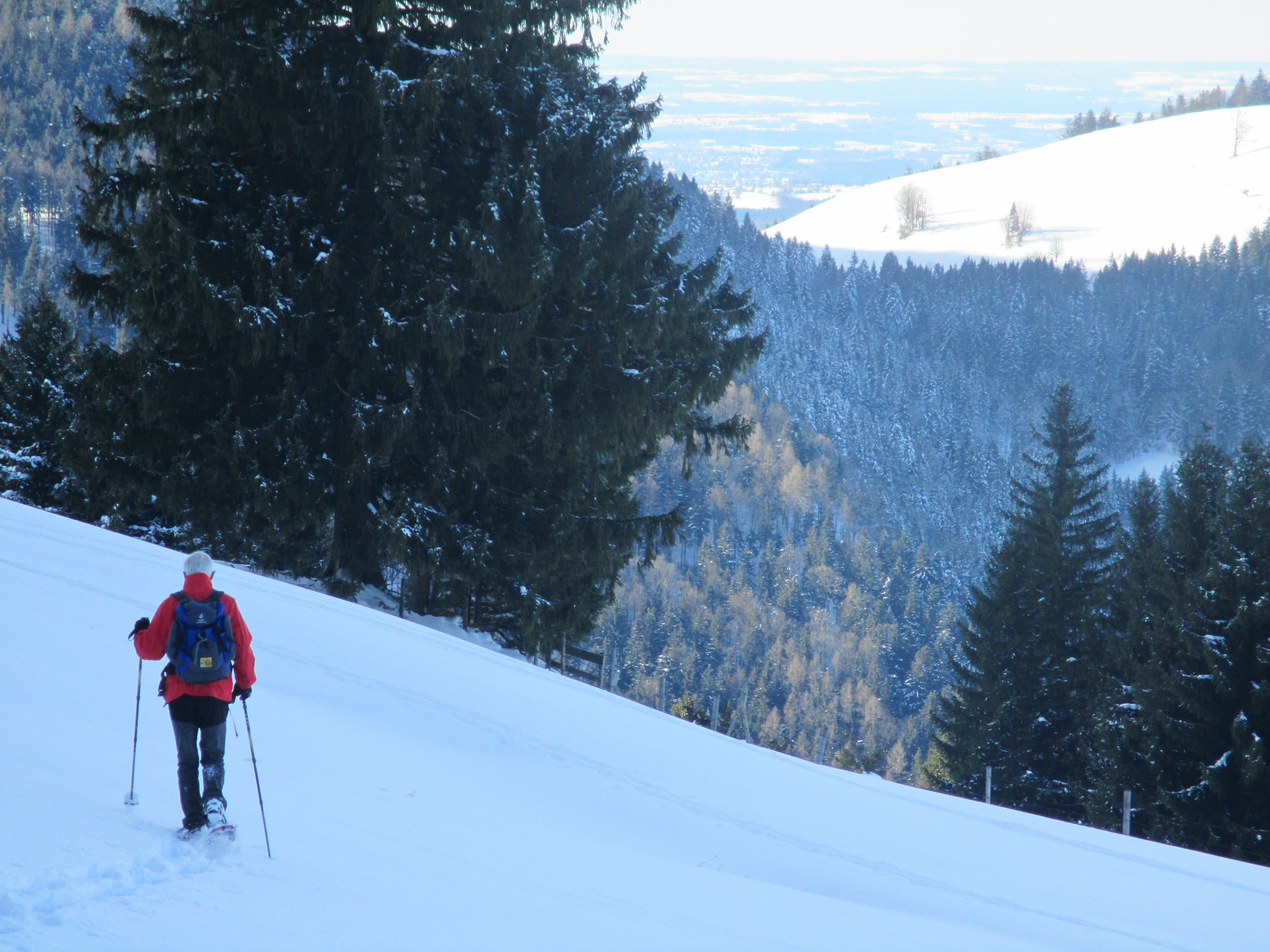 Schneeschuhwanderer unterm Staffn
