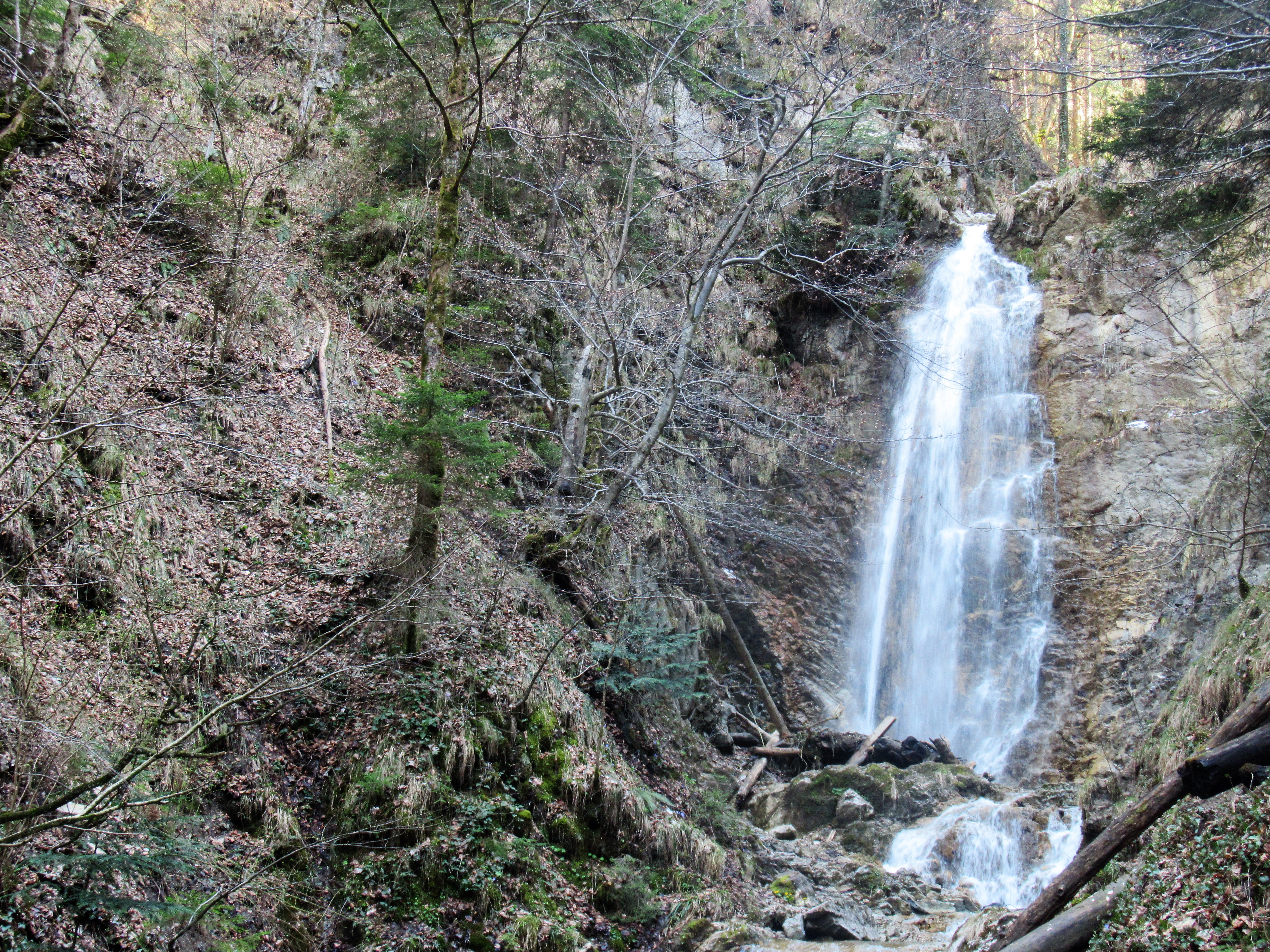 Der Grießenbach Wasserfall