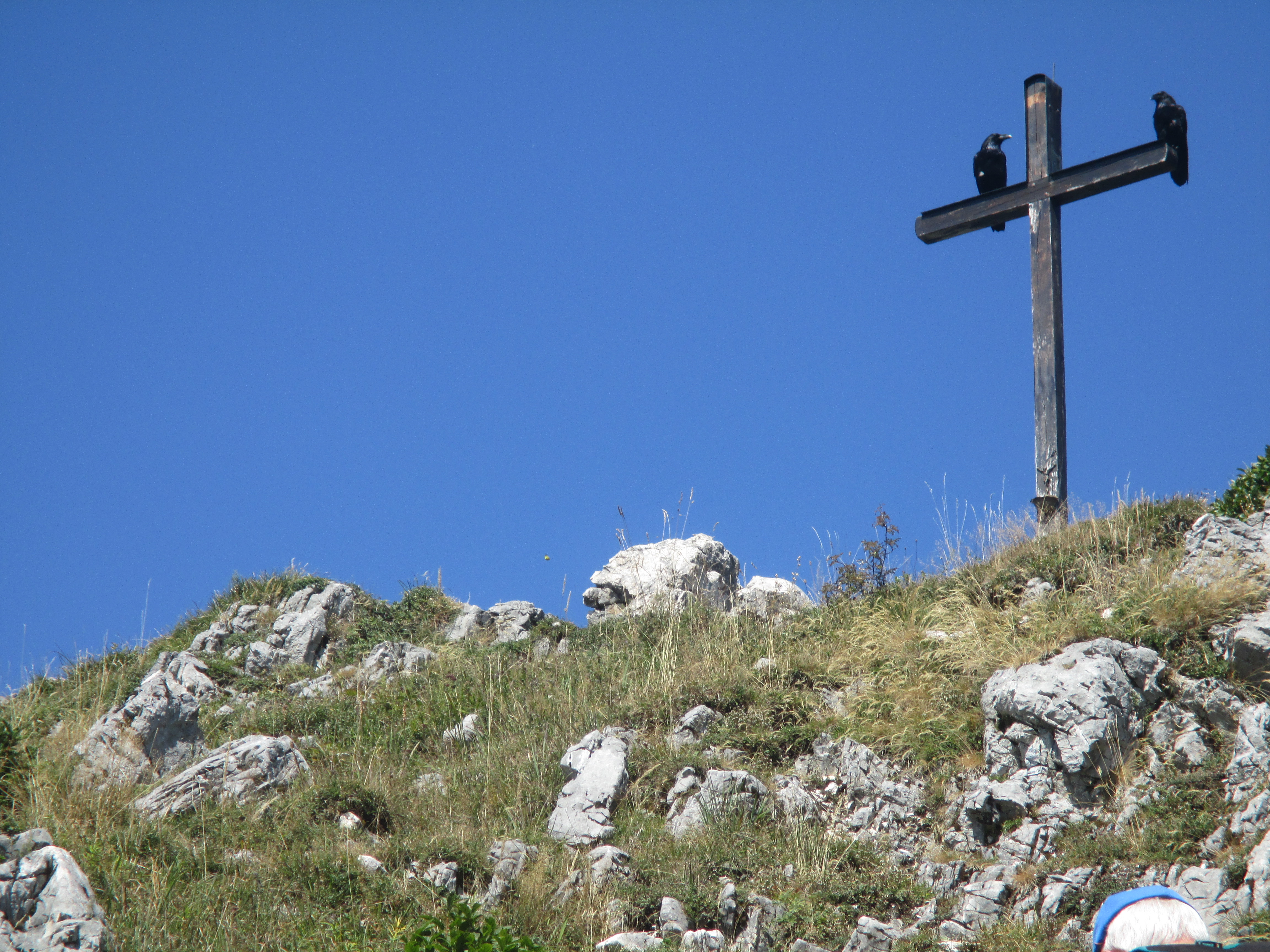 Raben auf dem Sonnenwendwand-Gipfelkreuz